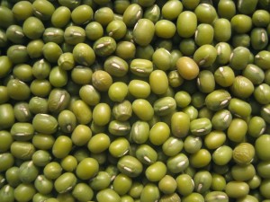 mung_bean