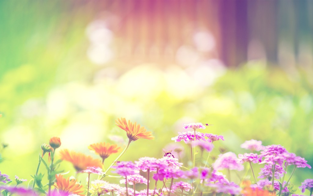 4438274-spring-wallpapers